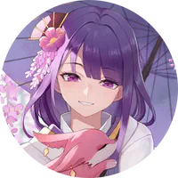 About Project MEI & Raiden